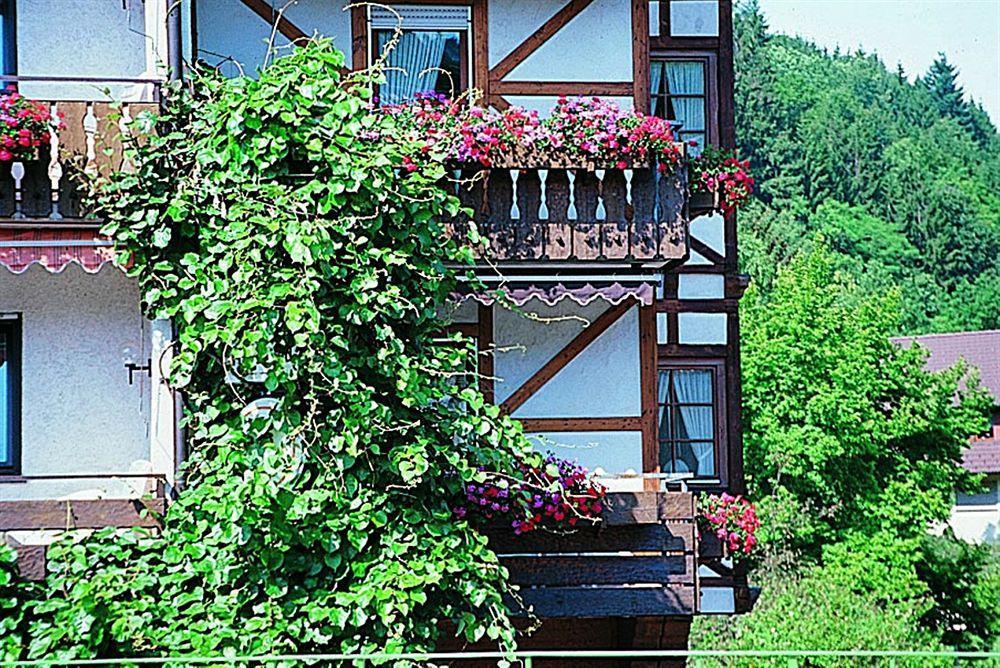 Hotel Hirsch Bad Peterstal-Griesbach Exterior photo